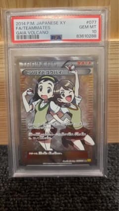 ポケモンカード　【PSA10】　センパイとコウハイsrのサムネイル