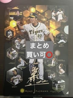 即購入可】藤川球児 プロ野球キャリアA4クリアファイル - メルカリ
