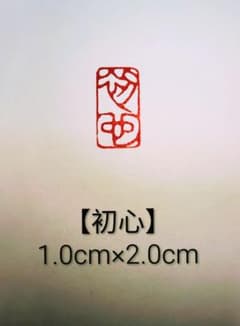 篆刻　落款印　遊印　雅印　吉語印　引首印 遼寧凍石　1.0×2.0cm 「初心」