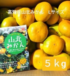 高知産 山北みかん 秀品 Lサイズ 約5kg 北海道沖縄発送不可 - メルカリ