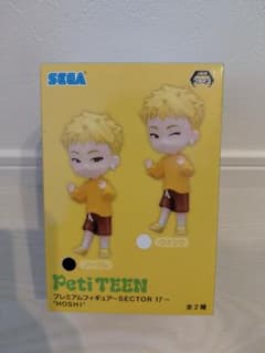 PetiTEEN プレミアムフィギュア SECTOR 17 HOSHI