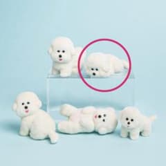 むにゅ家のけむちゃん　ガチャのサムネイル