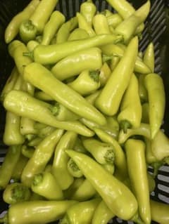 パナナピーマン[capsicum]200gのサムネイル
