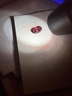 スリランカの 天然パイロープガーネット 1.66ct ルース 鑑別書付のサムネイル