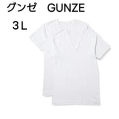 [군제] 셔츠 항균 방취 속건 밀링 V 넥 반소매 2 매 세트 RC2415C