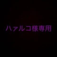 ヒックとドラゴン キーホルダーのサムネイル