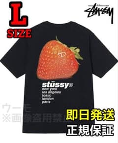 STUSSY STRAWBERRY 半袖 Tシャツ 黒 L☆ステューシー/いちご - メルカリ