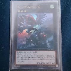 トーテムバード 1枚のサムネイル