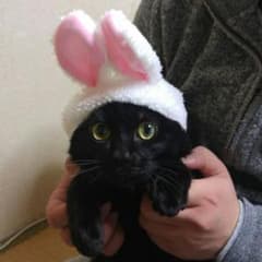 ゆー様専用ページのサムネイル