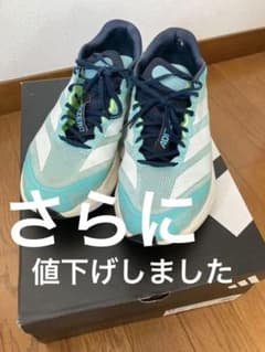 adidas ADIZERO BOSTON 13 M 29cmのサムネイル
