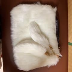 バッグのサムネイル
