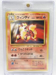 ウィンディ「トヨタオートキャンペーン」プレゼントカード（折れあり