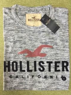 ホリスター アップリケ Tシャツ 新品 Sサイズのサムネイル