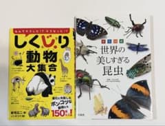 しくじり動物大集合 世界の美しすぎる昆虫 2冊セットのサムネイル