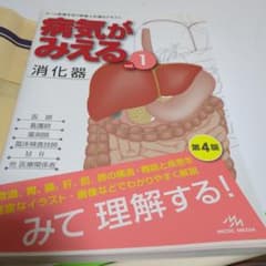 【期間限定値下】病気がみえる vol.1　消化器のサムネイル