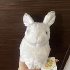 オルゴール入りぬいぐるみ　雪うさぎのサムネイル