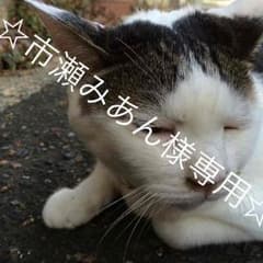 市瀬みあん様専用ページのサムネイル