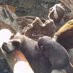 Miy様のサムネイル