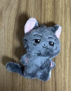 ENHYPEN ジェイ ぬいぐるみ マスター - メルカリ