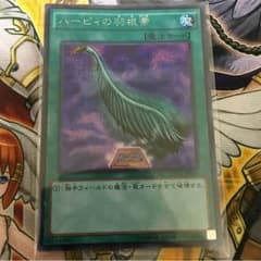 ハーピィの羽根箒 シクのサムネイル