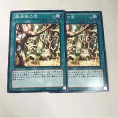遊戯王 魔法族の里のサムネイル