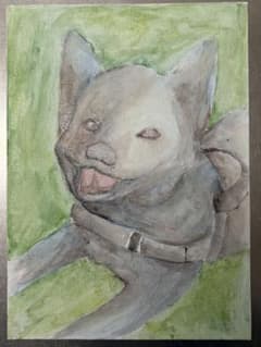 甲斐犬　手書きイラストのサムネイル