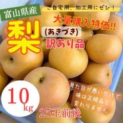 富山県産 あきづき梨 訳あり品 10kg 25玉前後のサムネイル