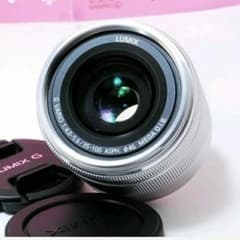 望遠レンズ★ほぼ未使用品

ＬＵＭＩＸ　Ｇ　３５−１００ｍｍのサムネイル