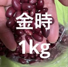 金時豆　1kg 新物　令和7年北海道産のサムネイル