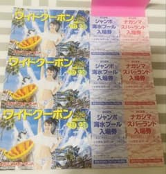 ⭐︎(大人2名+小学生・幼児2名可)ナガシマスパーランド ワイドクーポン