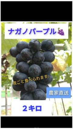 【土日祝の限定発送】朝採れ★ナガノパープル（２キロ） 農家直送　愛媛県産のサムネイル