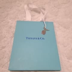 Tiffany & Co. ショップ袋 ショッパーのサムネイル