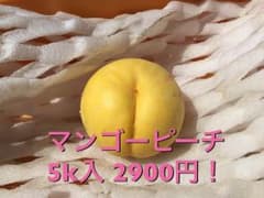 YUI様専用 光月のサムネイル