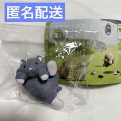 ここだけの話、高いところ苦手なんだよね　ロシアンブルー ハムスター　ガチャ