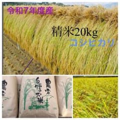 天日干しコシヒカリ　信州　南アルプス 天日干しコシヒカリ 信州 南アルプス - メルカリ