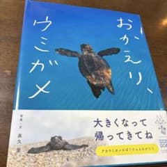 おかえり、ウミガメのサムネイル