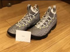 たけし様専用lebron15 AIRMAX95 us10 28cm GOAT購入のサムネイル