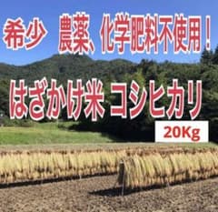 希少！ はざかけ米 農家直送 100% コシヒカリ 20Kgのサムネイル