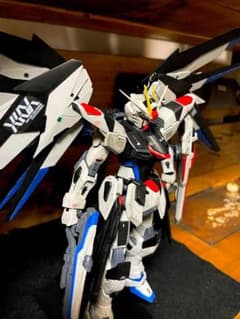 フリーダムガンダム　MG Ver.2.0 完全塗装のサムネイル