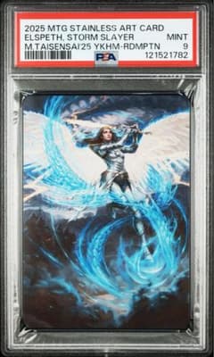 【PSA9】『嵐の討伐者、エルズペス』ステンレスアートカード MTG PSA9】『嵐の討伐者、エルズペス』ステンレスアートカード MTG - メルカリ
