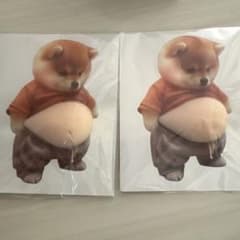 柴犬キャラクターステッカーのサムネイル