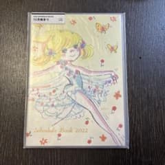 水森亜土 2022年 B6スケジュール帳 手帳 蝶 イラスト集