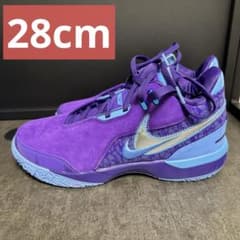 NIKE ZM LEBRON NXXT GEN AMPD バスケ シューズ 28 - メルカリ