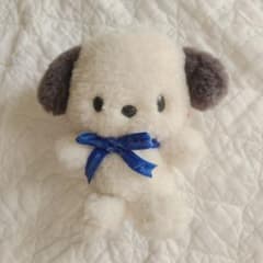 ポチャッコ　バースデー　サンリオ　ぬいぐるみ