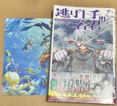 도망 능숙한 와카 군 11 권