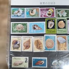 世界の貝切手 コレクション 26枚セット - メルカリ