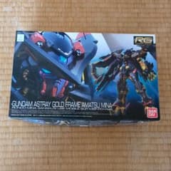 RG GUNDAM ASTRAY GOLD FRAME AMATSU MINAのサムネイル