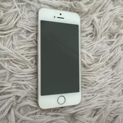 Apple iPhone 5s 골드 본체
