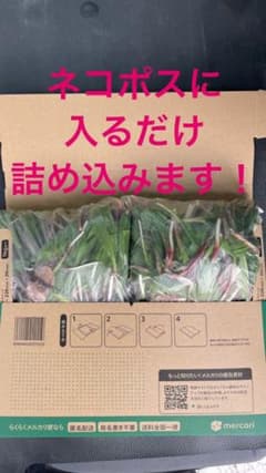 とれたて！行者にんにく！のサムネイル