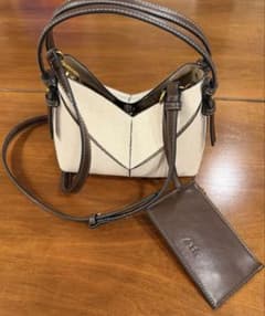 【ZARA】ミニハンドバッグ（3回使用）のサムネイル
